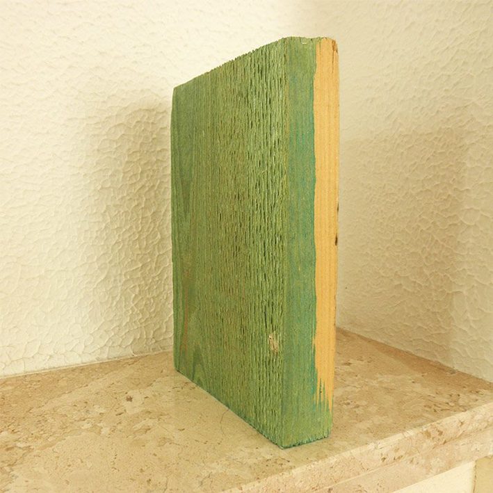 Immutusvahend Holz Bio 5L roheline