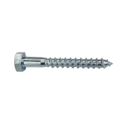 Puidukruvi 5x60mm (10tk)