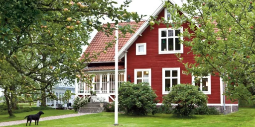 Rootsi punane – populaarne nii Skandinaavias kui ka Eestis